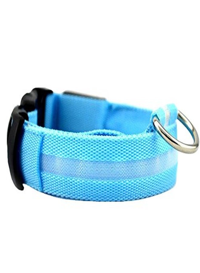 Futaba Nylon Pet Glow in Dark LED Collar Night Safety - Blue - Large - Image 5